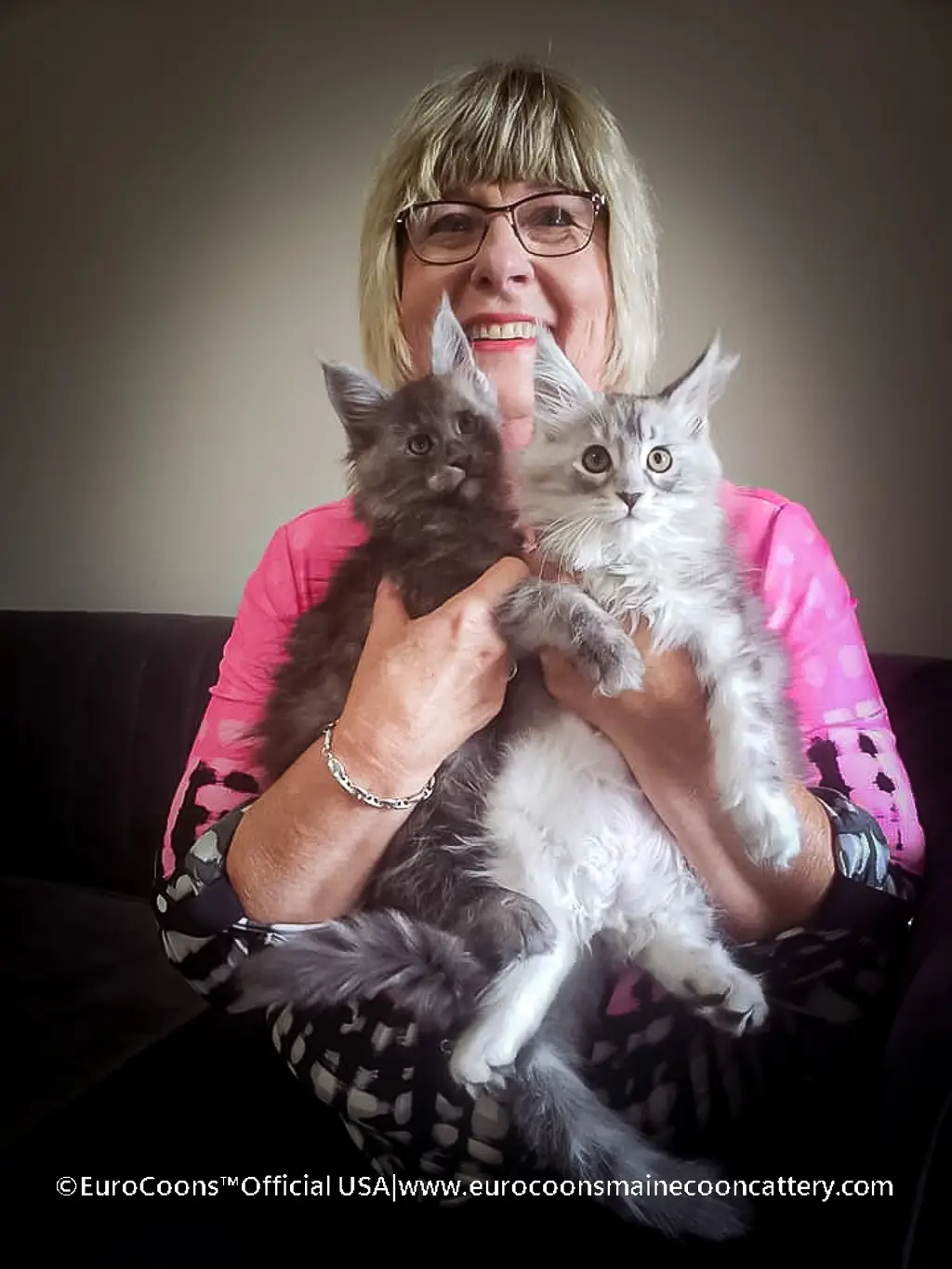main coon cat