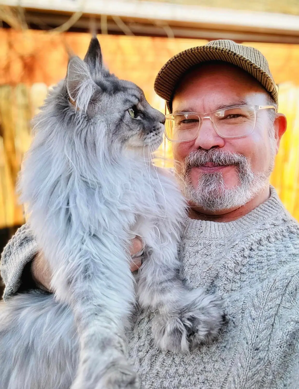 understanding-maine-coon-price-a-transparent-approach
